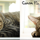Illustration for article titled Canon Rebel T1i vs Nikon D5000: Entry-Level DSLR Battlemodo